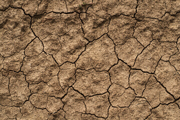 Cracked clay ground into the dry season