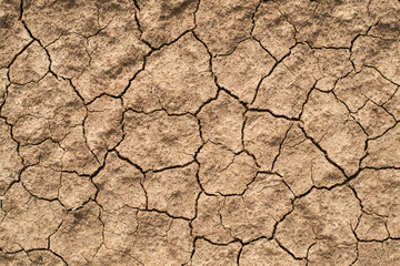 Cracked clay ground into the dry season