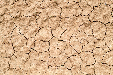 Cracked clay ground into the dry season