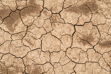 Cracked clay ground into the dry season