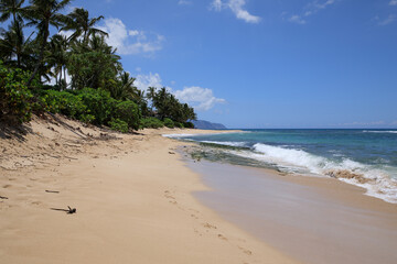 Beach Oahu Hawaii