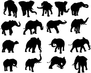 Elephant Silhouettes Set
