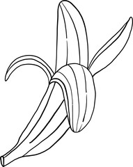 doodle freehand sketch drawing of banana fruit.