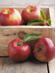 Fresh red organic apples in a wooden box after harvesting, seasonal food, agriculture concept