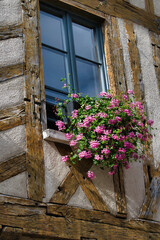 Fototapeta na wymiar Fenêtre fleurie et colombages