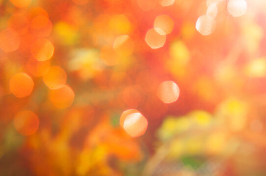 Autumn blurred background, bokeh