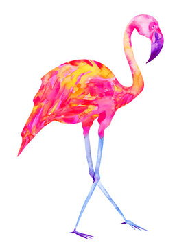 Watercolor flamingo walking. Illustration isolated on white