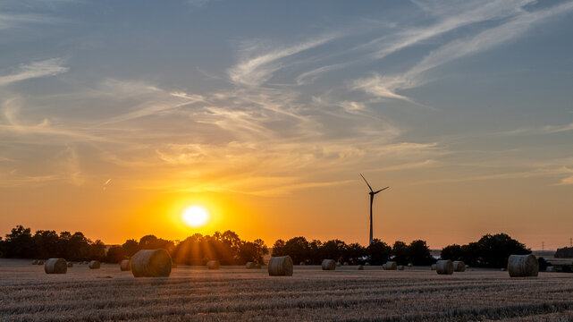Fototapeta zachód słońca, wschód słońca, sunset, sunrise, pole, żniwa, wieś, zboże,polska