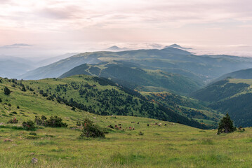 Fototapeta premium Morning on the mountains (Grey Sky)