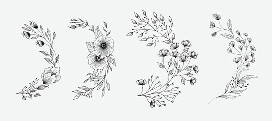 Set of floral compositions. Botanical arrangement of leaves bran