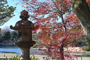 東京の日本庭園の六義園の紅葉と石灯籠の風景
