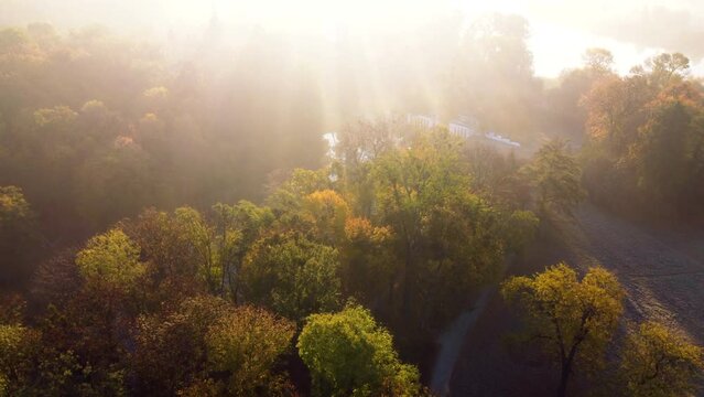 Aerial flying over trees with yellow leaves, a lake and architecture on an autumn sunny morning in a park. Bright sunlight, shining sunbeams rays and sun overexposure. Beautiful natural background.