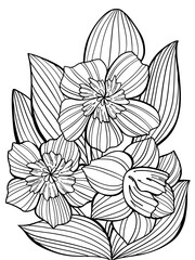 bouquet of daffodils flowers contour illustration antistress coloring book for children and adults on white background vector print postcard