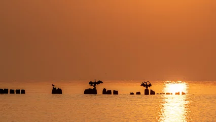 Foto auf Acrylglas Die Ostsee, Sopot, Polen polska, morze bałtyckie, trójmiasto, gdynia, gdańsk, sopot, morze, wschód słońca, zachód słońca, sunrise, sunset