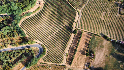 Vista aerea di curva su vigne in toscana