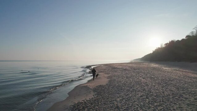 The dressed man walk with dog along the empty beach at sunrise. Morning training in nature.