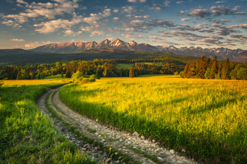 Spring view of the Tatra Mountains in Poland from Spisz and Podhale. Beautiful views from one of the most beautiful places in Małopolska. © PawelUchorczak