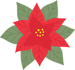 Red poinsettia as a symbol of Christmas and New Year