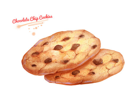 Watercolor illustration of Chocolate Chip Cookies