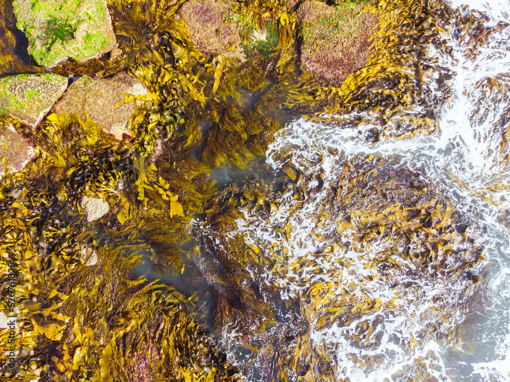 Wall mural pearses beach aerial in australia