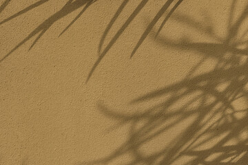 Delicate leaves shadows on beige concrete wall texture with roughness and irregularities. Abstract trendy colored nature concept background. Copy space for text overlay, poster mockup flat lay 