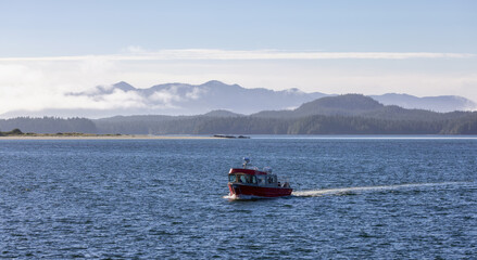 Tofino, Vancouver Island, British Columbia, Canada. View of Canadian Mountain Landscape on the West Coast of Pacific Ocean. Nature Background.