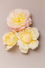 Candy on a flower. Spring concept. Food styling.