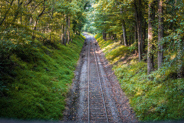 Fototapeta premium Railroad in the forest