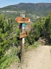 Cinque Terre National Park. Trekking the hiking trail above the Cinque Terre, Italian Riviera. Liguria, Near Cornigla. Italy