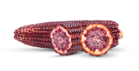 Corn isolated on transparent png