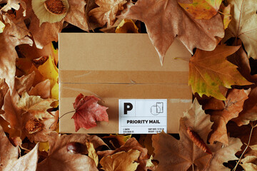 autumn flat lay with parcel and leaves