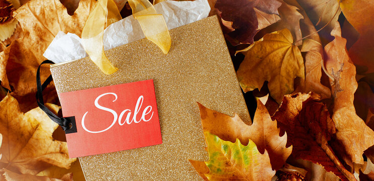 autumn background with shopping bag, sale tag and leaves
