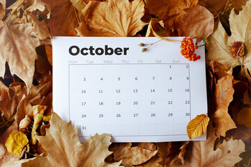 autumn background with October calendar, pyracantha and leaves - obrazy, fototapety, plakaty