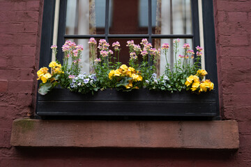 Fototapeta na wymiar Beautiful Window Sill Flower Box with Colorful Flowers during Spring on an Old Brick Home in Greenwich Village of New York City