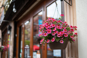 Hanging Flower Pot Filled with Pink Flowers during Spring Outside a Restaurant in Greenwich Village of New York City