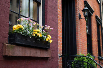 Beautiful Window Sill Flower Box with Colorful Flowers during Spring on an Old Brick Home in...