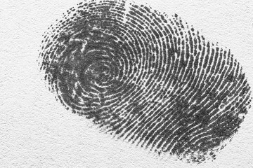 macro black human fingerprint,Black macro fingerprint,Fingerprint detail,Real fingerprint in white...