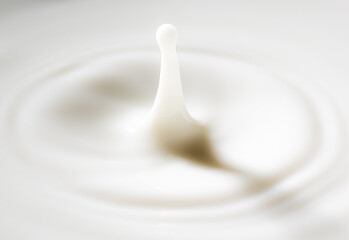 Macro milk drop,milk drops with ripples,Drop on milk cream dairy product yoghurt milkshake texture swirl graphic design element for packaging flyer ad poster cream splash with ripple circle 