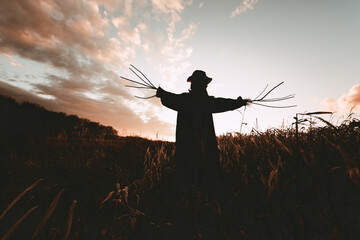 Scary scarecrow in a hat and coat on a evening autumn cornfield during sunset. Spooky Halloween...