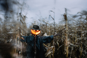 Scary scarecrow with pumpkin head in a hat and coat on night cornfield. Spooky Halloween holiday concept. Halloweens background