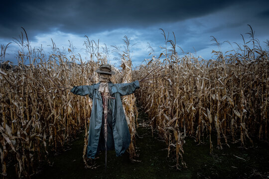 Scary scarecrow in a hat and coat on a evening autumn cornfield. Spooky Halloween holiday concept. Halloweens background