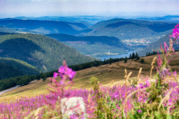 Vue panoramique sur les Vosges depuis le sommet du Hohneck