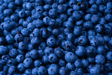 Fresh blueberry background. Texture blueberry berries close up.