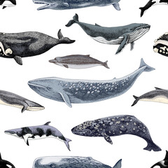Gently seamles pattern with different whales.