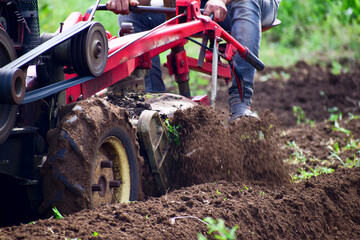 Farmers cultivate land with tractor or power tiller machine, modern agriculture, tractor