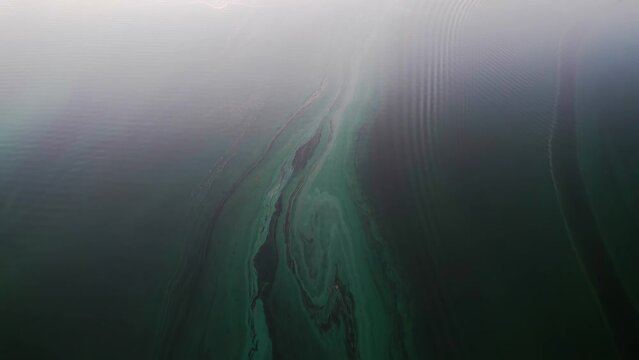 Flight over dark green river water with malachite patterns due to algal bloom