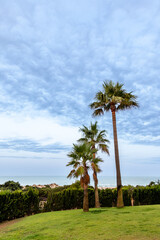 sand dunes that give access to La Barrosa beach in Sancti Petri, Cadiz, Spain