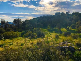 Fototapeta premium landscape with sky