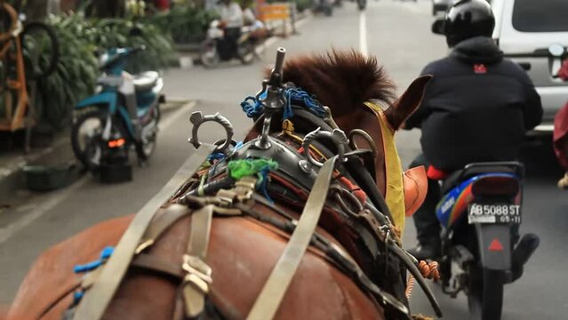 Traditional wagon carriage in the city 