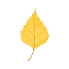 Fototapeta premium Birch yellow leaf isolated on white background. Autumn vector cartoon illustration.